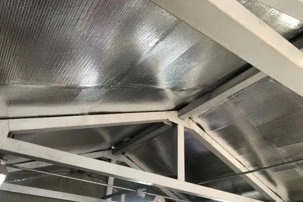 27 (1)